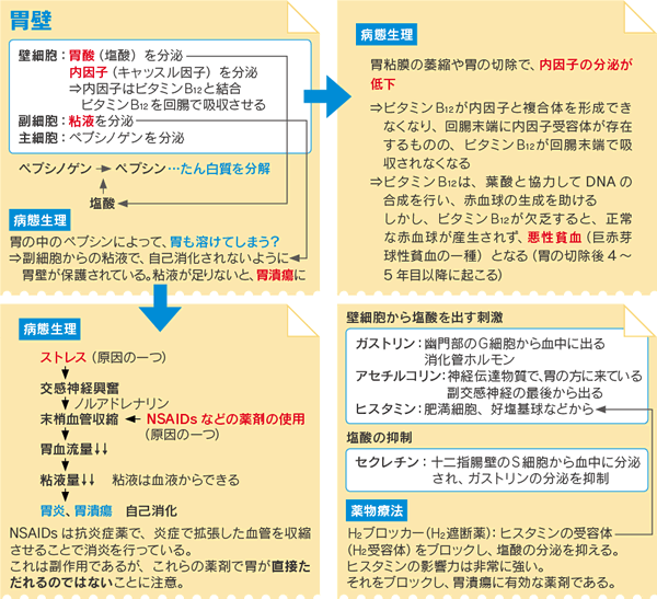 2014_kokushi_02_01