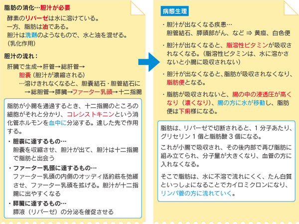 2014_kokushi_02_02