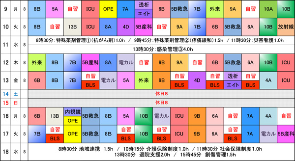 ローテーション研修例